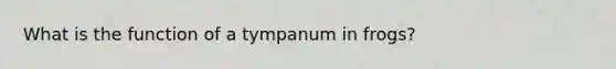 What is the function of a tympanum in frogs?