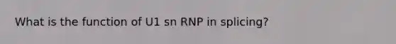 What is the function of U1 sn RNP in splicing?