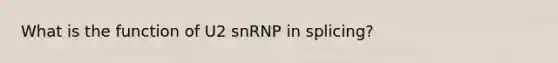 What is the function of U2 snRNP in splicing?