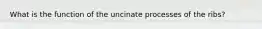 What is the function of the uncinate processes of the ribs?