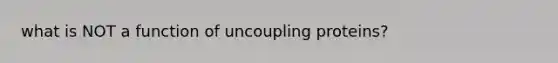 what is NOT a function of uncoupling proteins?