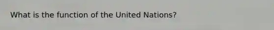 What is the function of the United Nations?