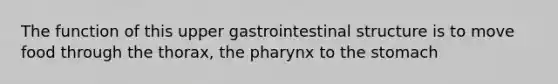 The function of this upper gastrointestinal structure is to move food through the thorax, the pharynx to the stomach