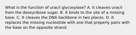 What is the function of uracil glycosylase? A. It cleaves uracil from the deoxyribose sugar. B. It binds to the site of a missing base. C. It cleaves the DNA backbone in two places. D. It replaces the missing nucleotide with one that properly pairs with the base on the opposite strand.