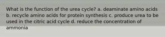 What is the function of the urea cycle? a. deaminate amino acids b. recycle amino acids for protein synthesis c. produce urea to be used in the citric acid cycle d. reduce the concentration of ammonia