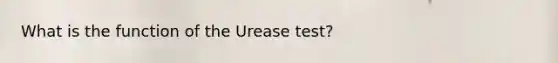 What is the function of the Urease test?