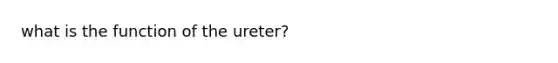 what is the function of the ureter?