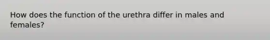 How does the function of the urethra differ in males and females?