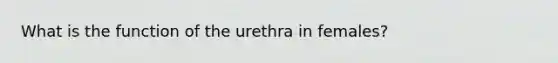 What is the function of the urethra in females?