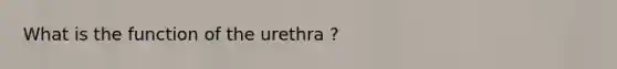 What is the function of the urethra ?