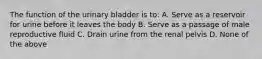 The function of the urinary bladder is to: A. Serve as a reservoir for urine before it leaves the body B. Serve as a passage of male reproductive fluid C. Drain urine from the renal pelvis D. None of the above