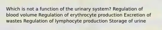 Which is not a function of the urinary system? Regulation of blood volume Regulation of erythrocyte production Excretion of wastes Regulation of lymphocyte production Storage of urine