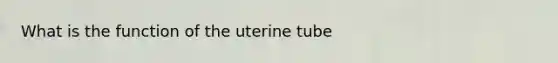 What is the function of the uterine tube