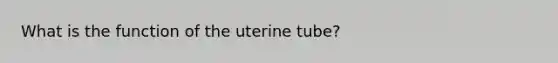 What is the function of the uterine tube?