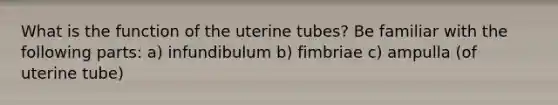 What is the function of the uterine tubes? Be familiar with the following parts: a) infundibulum b) fimbriae c) ampulla (of uterine tube)