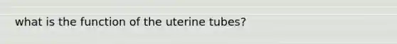 what is the function of the uterine tubes?