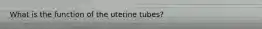 What is the function of the uterine tubes?