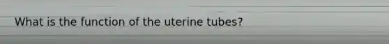 What is the function of the uterine tubes?