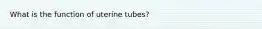 What is the function of uterine tubes?