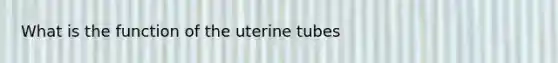 What is the function of the uterine tubes