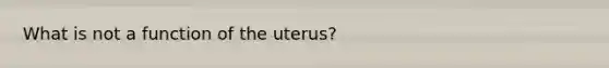 What is not a function of the uterus?