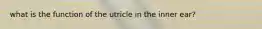 what is the function of the utricle in the inner ear?