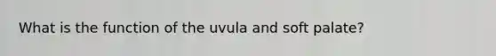 What is the function of the uvula and soft palate?