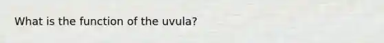 What is the function of the uvula?