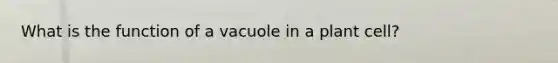 What is the function of a vacuole in a plant cell?