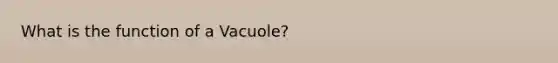 What is the function of a Vacuole?