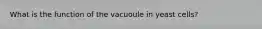 What is the function of the vacuoule in yeast cells?