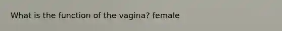 What is the function of the vagina? female