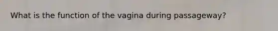 What is the function of the vagina during passageway?