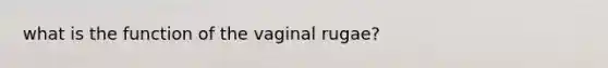 what is the function of the vaginal rugae?