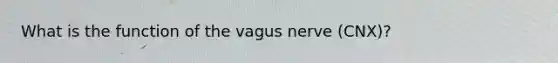 What is the function of the vagus nerve (CNX)?