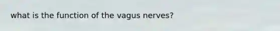 what is the function of the vagus nerves?