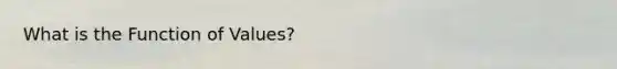 What is the Function of Values?