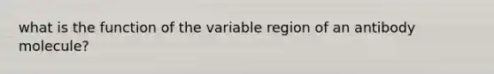 what is the function of the variable region of an antibody molecule?