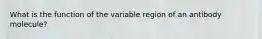 What is the function of the variable region of an antibody molecule?