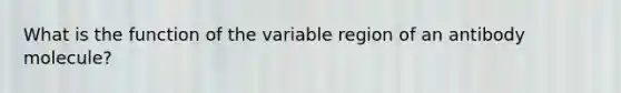 What is the function of the variable region of an antibody molecule?