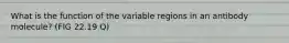What is the function of the variable regions in an antibody molecule? (FIG 22.19 Q)