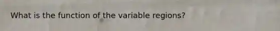 What is the function of the variable regions?