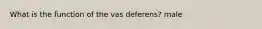 What is the function of the vas deferens? male