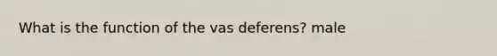 What is the function of the vas deferens? male