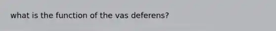 what is the function of the vas deferens?