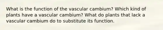 What is the function of the vascular cambium? Which kind of plants have a vascular cambium? What do plants that lack a vascular cambium do to substitute its function.