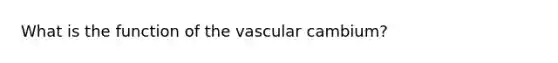 What is the function of the vascular cambium?