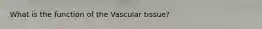 What is the function of the Vascular tissue?
