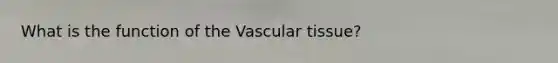 What is the function of the Vascular tissue?