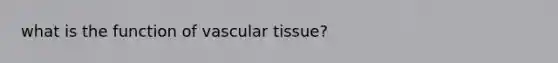 what is the function of vascular tissue?